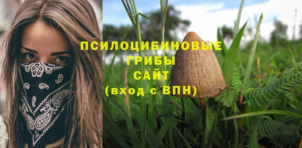 наркотики Алексин